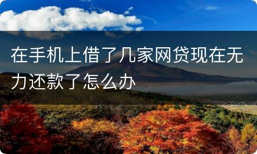 在手机上借了几家网贷现在无力还款了怎么办