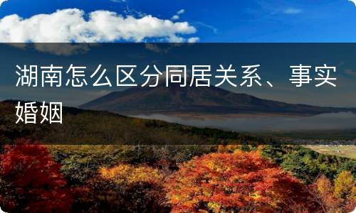 湖南怎么区分同居关系、事实婚姻