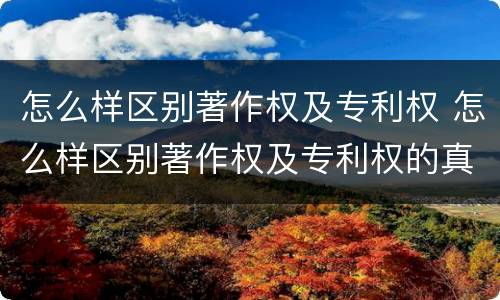 怎么样区别著作权及专利权 怎么样区别著作权及专利权的真假