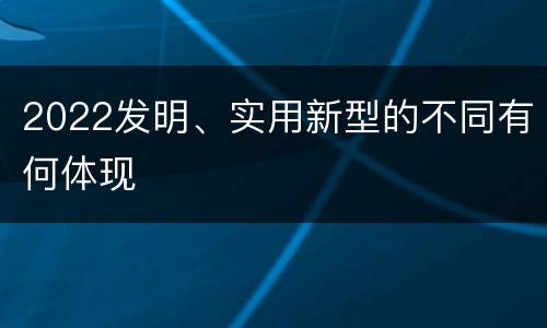 2022发明、实用新型的不同有何体现