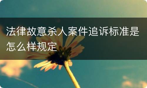 法律故意杀人案件追诉标准是怎么样规定