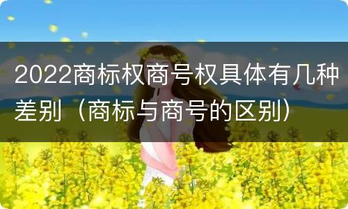 2022商标权商号权具体有几种差别（商标与商号的区别）