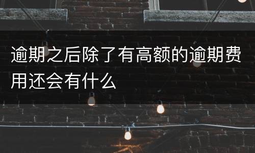 逾期之后除了有高额的逾期费用还会有什么