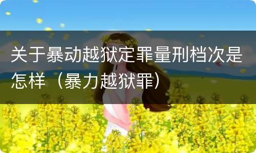关于暴动越狱定罪量刑档次是怎样（暴力越狱罪）