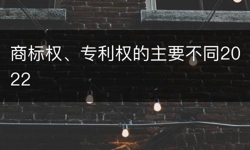 商标权、专利权的主要不同2022
