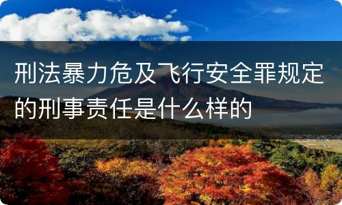 刑法暴力危及飞行安全罪规定的刑事责任是什么样的