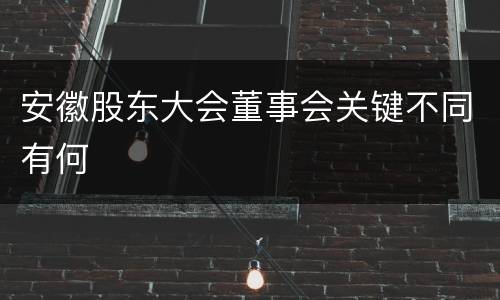 安徽股东大会董事会关键不同有何