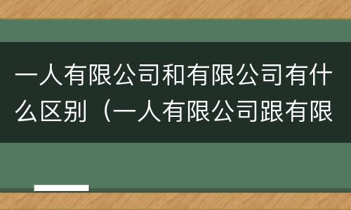 一人有限公司和有限公司有什么区别（一人有限公司跟有限责任公司的区别）