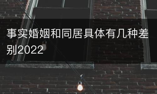 事实婚姻和同居具体有几种差别2022