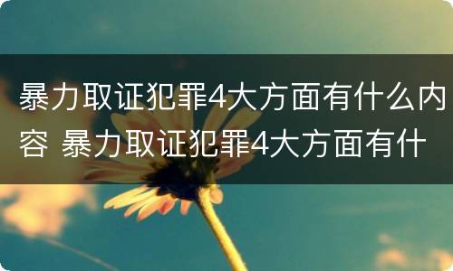 暴力取证犯罪4大方面有什么内容 暴力取证犯罪4大方面有什么内容呢