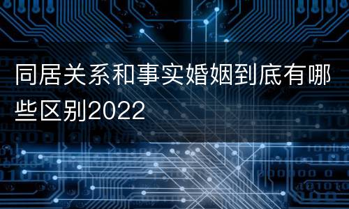 同居关系和事实婚姻到底有哪些区别2022