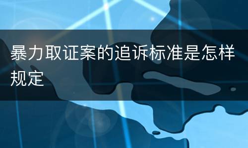 暴力取证案的追诉标准是怎样规定