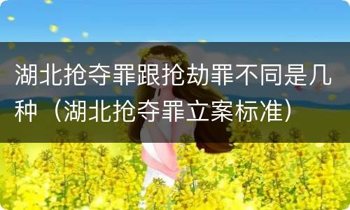 湖北抢夺罪跟抢劫罪不同是几种（湖北抢夺罪立案标准）