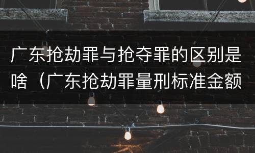 广东抢劫罪与抢夺罪的区别是啥（广东抢劫罪量刑标准金额）