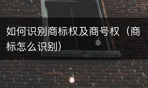 如何识别商标权及商号权（商标怎么识别）