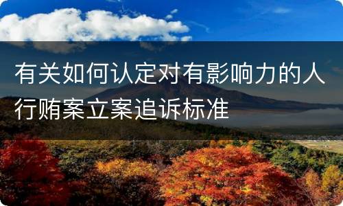 有关如何认定对有影响力的人行贿案立案追诉标准