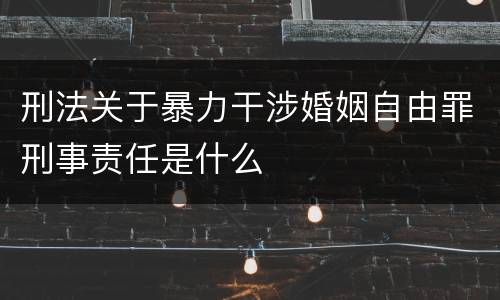 刑法关于暴力干涉婚姻自由罪刑事责任是什么