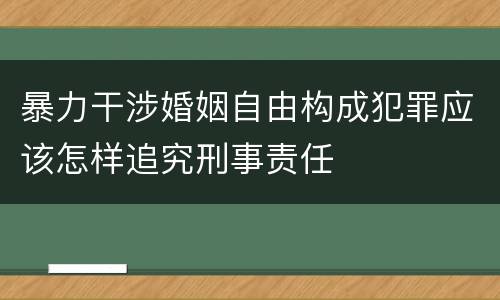 暴力干涉婚姻自由构成犯罪应该怎样追究刑事责任