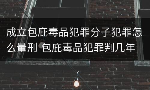 成立包庇毒品犯罪分子犯罪怎么量刑 包庇毒品犯罪判几年