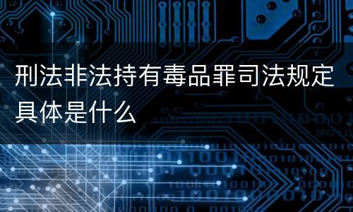 刑法非法持有毒品罪司法规定具体是什么