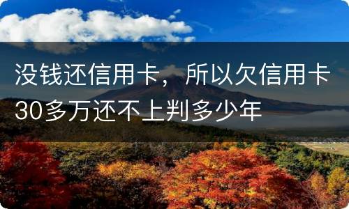 没钱还信用卡，所以欠信用卡30多万还不上判多少年