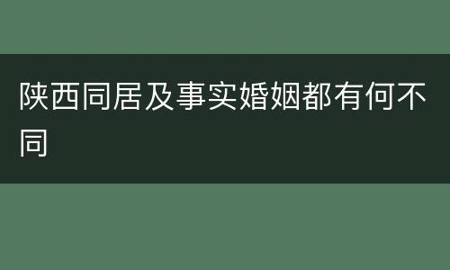 陕西同居及事实婚姻都有何不同