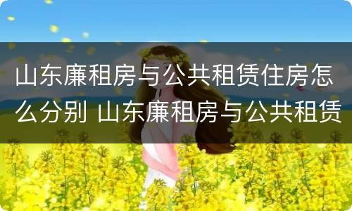 山东廉租房与公共租赁住房怎么分别 山东廉租房与公共租赁住房怎么分别的