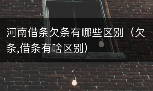 河南借条欠条有哪些区别（欠条,借条有啥区别）