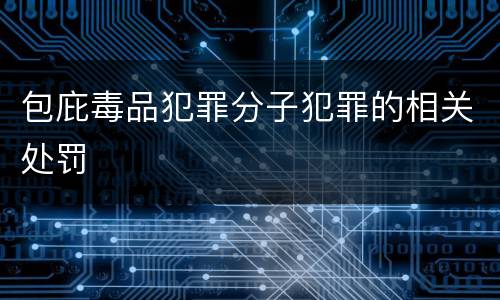 包庇毒品犯罪分子犯罪的相关处罚