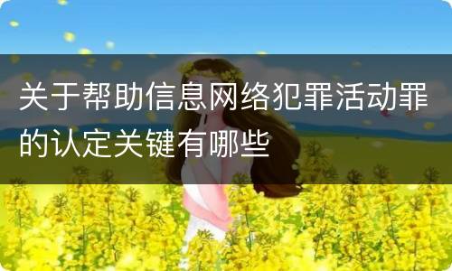 关于帮助信息网络犯罪活动罪的认定关键有哪些