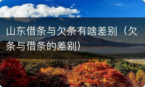 山东借条与欠条有啥差别（欠条与借条的差别）