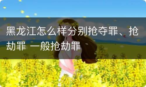 黑龙江怎么样分别抢夺罪、抢劫罪 一般抢劫罪
