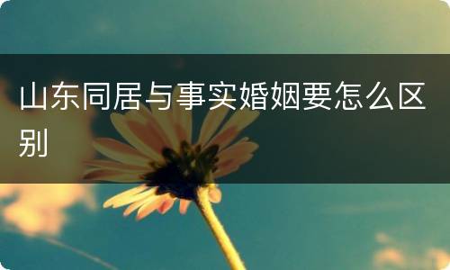 山东同居与事实婚姻要怎么区别