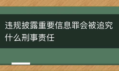 违规披露重要信息罪会被追究什么刑事责任