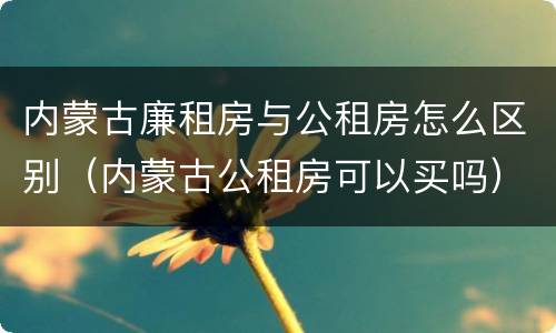 内蒙古廉租房与公租房怎么区别（内蒙古公租房可以买吗）