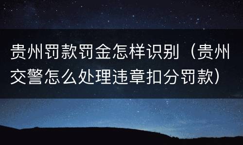 贵州罚款罚金怎样识别（贵州交警怎么处理违章扣分罚款）