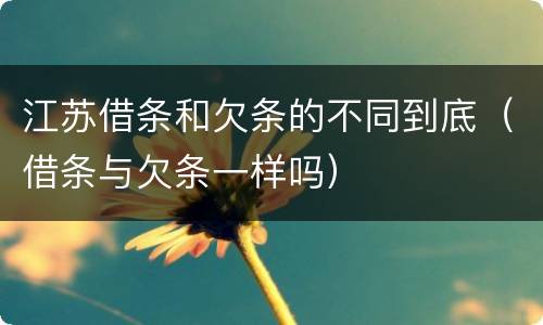 江苏借条和欠条的不同到底（借条与欠条一样吗）