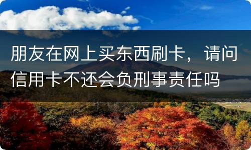 朋友在网上买东西刷卡，请问信用卡不还会负刑事责任吗