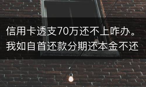 信用卡透支70万还不上咋办。我如自首还款分期还本金不还利息行吗