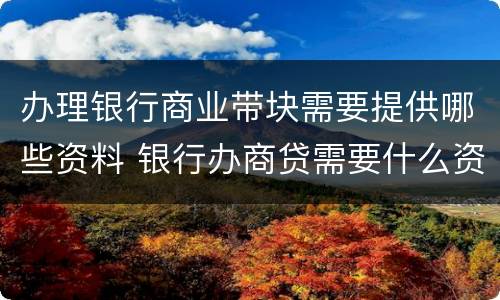 办理银行商业带块需要提供哪些资料 银行办商贷需要什么资料