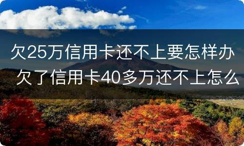 欠25万信用卡还不上要怎样办 欠了信用卡40多万还不上怎么办