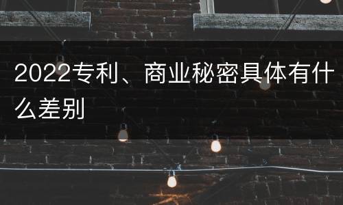 2022专利、商业秘密具体有什么差别