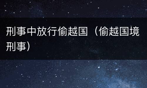 刑事中放行偷越国（偷越国境刑事）