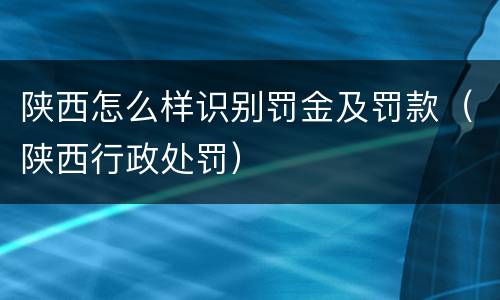 陕西怎么样识别罚金及罚款（陕西行政处罚）