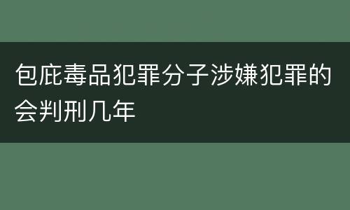 包庇毒品犯罪分子涉嫌犯罪的会判刑几年