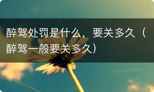 醉驾处罚是什么，要关多久（醉驾一般要关多久）