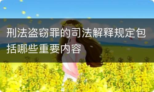 刑法盗窃罪的司法解释规定包括哪些重要内容