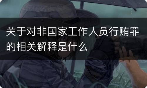 关于对非国家工作人员行贿罪的相关解释是什么