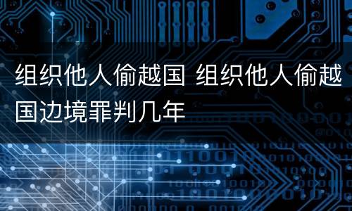 组织他人偷越国 组织他人偷越国边境罪判几年