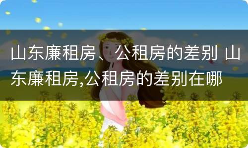 山东廉租房、公租房的差别 山东廉租房,公租房的差别在哪